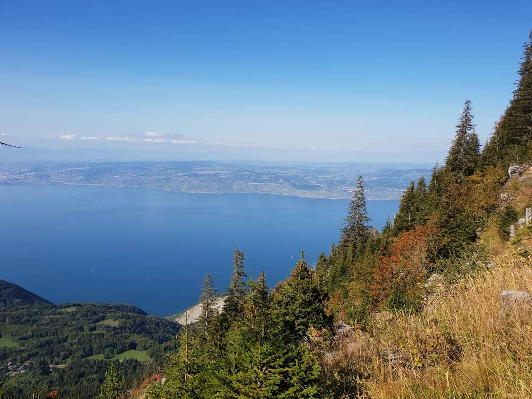 lac_leman_tourisme_montagne_ete_thollon_les_memises